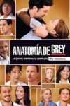 Portada de Anatomía de Grey: Temporada 5