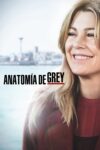 Portada de Anatomía de Grey: Temporada 15