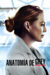 Portada de Anatomía de Grey: Temporada 17