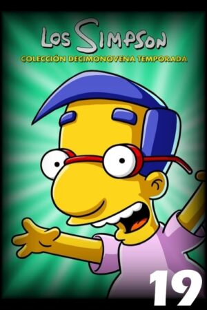 Portada de Los Simpson: Temporada 19