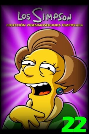 Portada de Los Simpson: Temporada 22