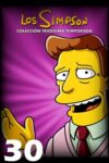 Portada de Los Simpson: Temporada 30