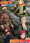 Portada de Naruto Shippuden: La reunión de los 5 Kages
