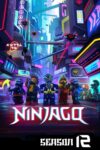 Portada de Lego Ninjago: Maestros del Spinjitzu: Temporada 12