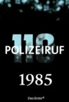 Portada de Polizeiruf 110: Temporada 15