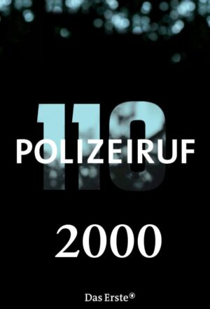 Portada de Polizeiruf 110: Temporada 29