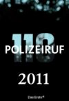 Portada de Polizeiruf 110: Temporada 40