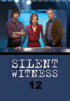 Portada de Silent Witness: Temporada 12