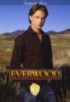 Portada de Everwood: Temporada 2