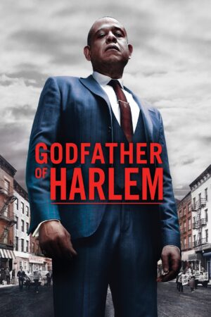 Portada de El padrino de Harlem: Temporada 1