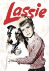 Portada de Lassie: Temporada 12