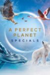 Portada de Un planeta perfecto: Especiales
