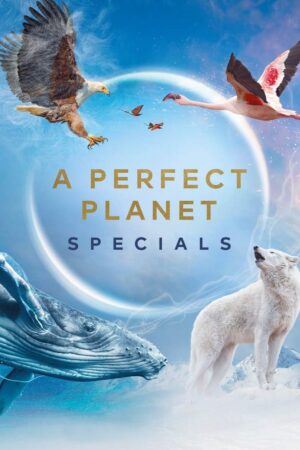 Portada de Un planeta perfecto: Especiales