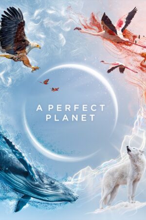 Portada de Un planeta perfecto