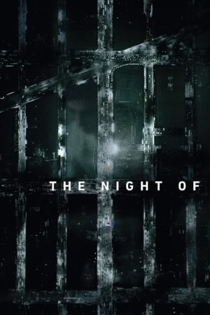 Portada de The Night Of: Temporada 1