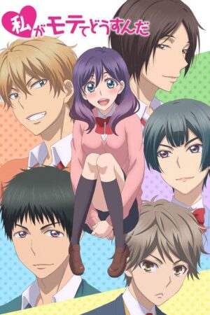 Portada de Watashi ga Motete Dousunda