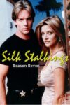 Portada de Silk Stalkings: Temporada 7