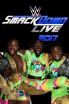 Portada de WWE SmackDown: Temporada 19