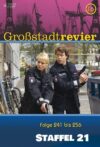 Portada de Großstadtrevier: Temporada 21