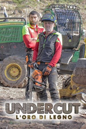 Portada de Undercut: l'oro di legno