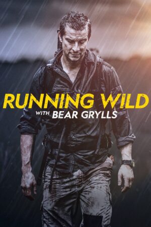 Portada de Famosos en peligro con Bear Grylls: Temporada 5