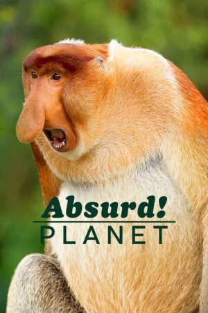 Portada de Un planeta absurdo