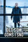 Portada de Det som göms i snö: Temporada 1