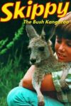 Portada de Skippy the Bush Kangaroo