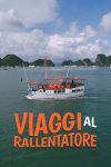 Portada de Viaggi al rallentatore