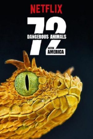 Portada de 72 Animales Peligrosos: América Latina