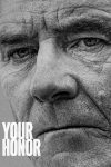 Portada de Your Honor: Temporada 1