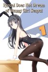 Portada de Seishun Buta Yarou wa Bunny Girl Senpai no Yume wo Minai: Temporada 1