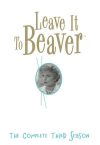Portada de Leave It to Beaver: Temporada 3