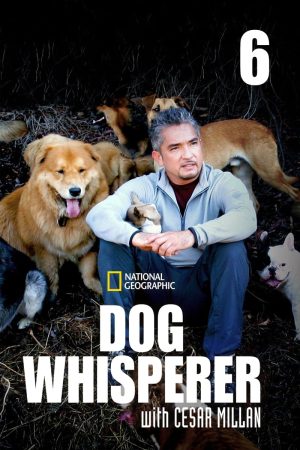 Portada de El Encantador de Perros: Temporada 6