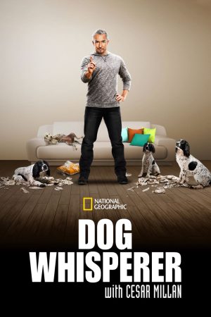 Portada de El Encantador de Perros: Temporada 9