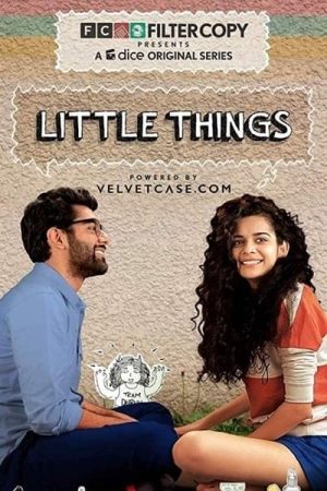 Portada de Little Things: Temporada 2
