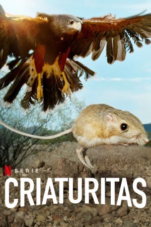 Portada de Tiny Creatures