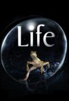 Portada de Life: Temporada 1
