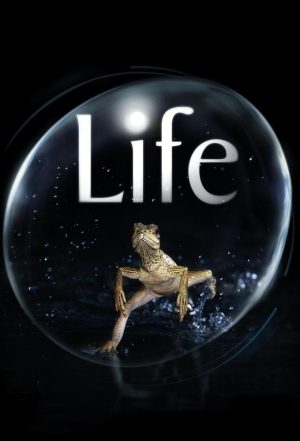 Portada de Life