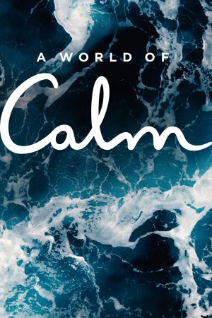 Portada de A World of Calm