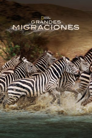 Portada de Great Migrations
