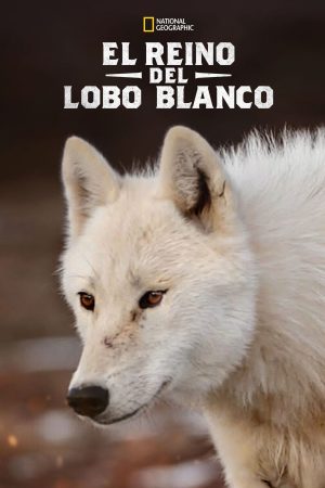 Portada de Kingdom of the White Wolf