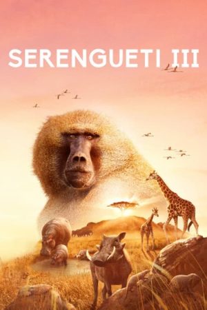 Portada de Serengeti