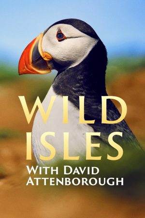 Portada de Islas Salvajes: Especiales