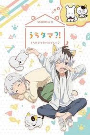 Portada de Uchi Tama?! Uchi no Tama Shirimasen ka?: Temporada 1