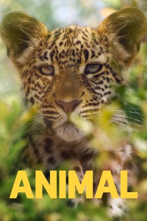 Portada de Animal: Temporada 1