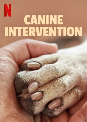 Portada de Terapia Canina