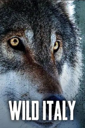 Portada de Wild Italy: Temporada 3