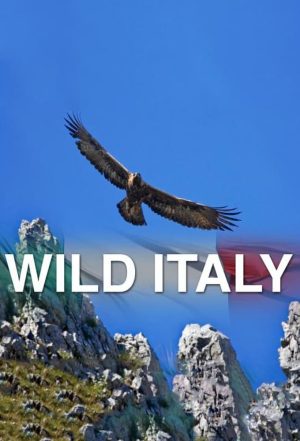 Portada de Wild Italy