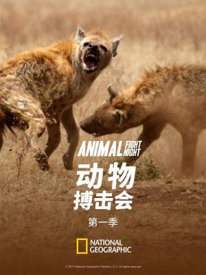 Portada de Animal Fight Night: Temporada 1